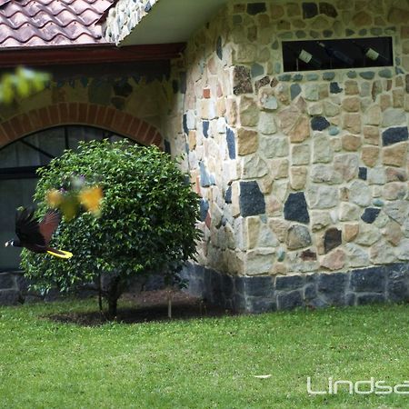 Gingerbread Restaurant & Hotel Nuevo Arenal Bagian luar foto