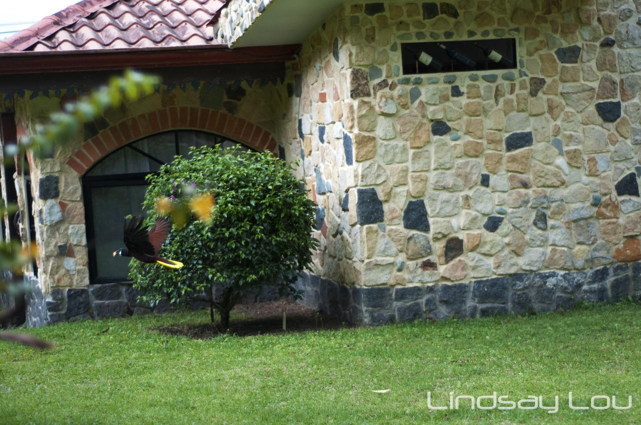 Gingerbread Restaurant & Hotel Nuevo Arenal Bagian luar foto
